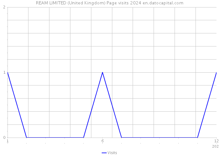 REAM LIMITED (United Kingdom) Page visits 2024 