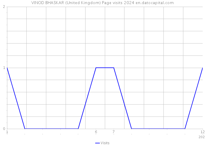 VINOD BHASKAR (United Kingdom) Page visits 2024 