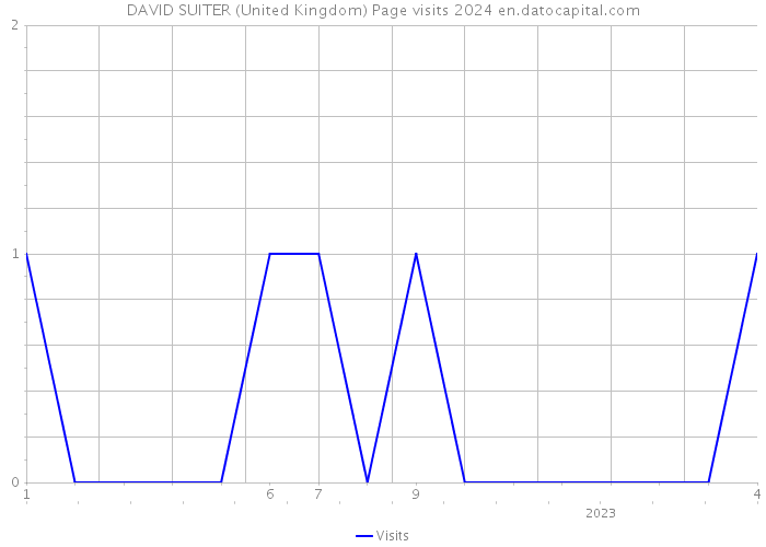 DAVID SUITER (United Kingdom) Page visits 2024 