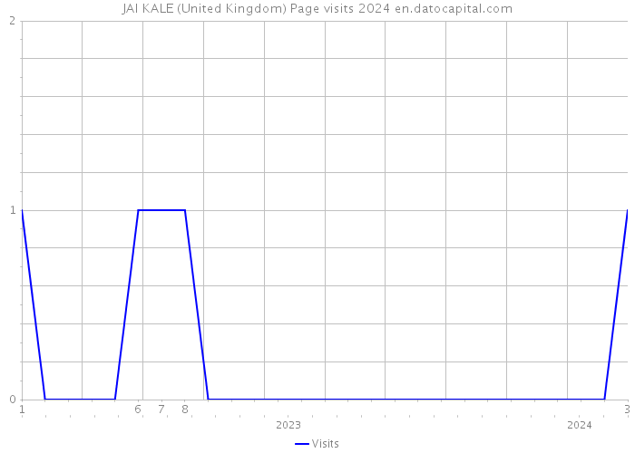 JAI KALE (United Kingdom) Page visits 2024 