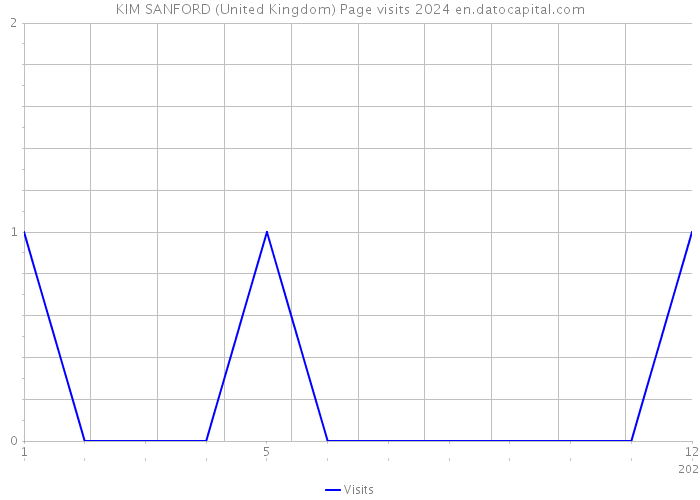 KIM SANFORD (United Kingdom) Page visits 2024 
