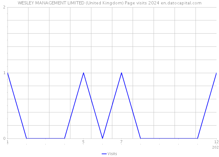 WESLEY MANAGEMENT LIMITED (United Kingdom) Page visits 2024 