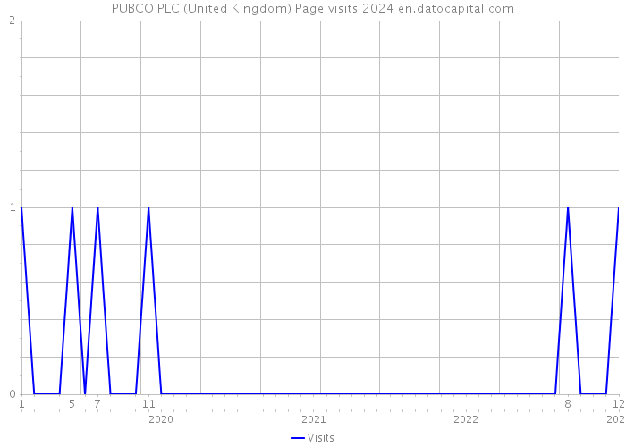 PUBCO PLC (United Kingdom) Page visits 2024 