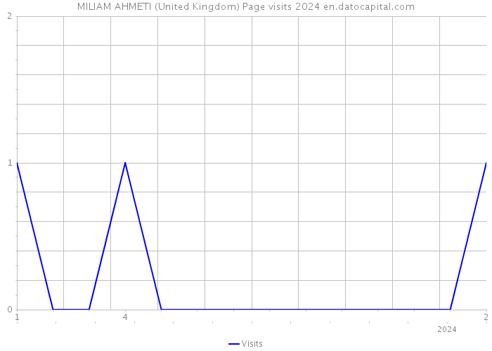 MILIAM AHMETI (United Kingdom) Page visits 2024 