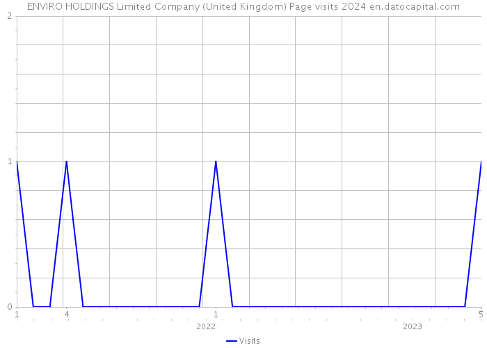 ENVIRO HOLDINGS Limited Company (United Kingdom) Page visits 2024 
