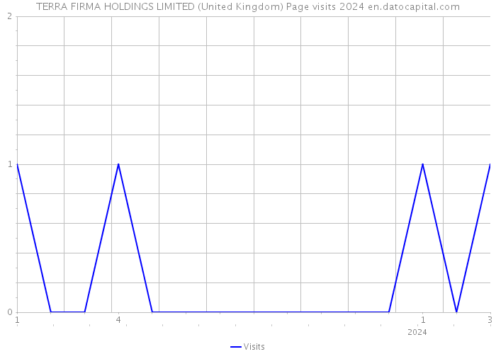 TERRA FIRMA HOLDINGS LIMITED (United Kingdom) Page visits 2024 