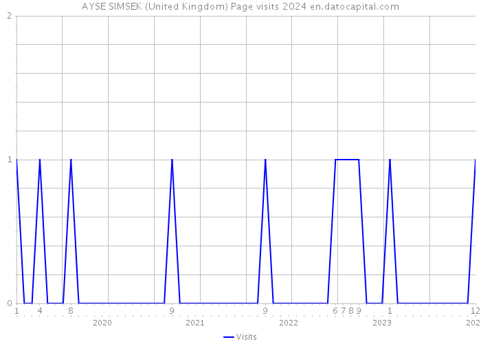 AYSE SIMSEK (United Kingdom) Page visits 2024 