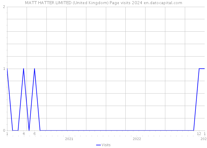 MATT HATTER LIMITED (United Kingdom) Page visits 2024 