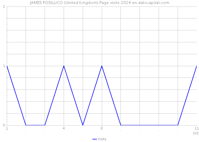 JAMES POSILLICO (United Kingdom) Page visits 2024 