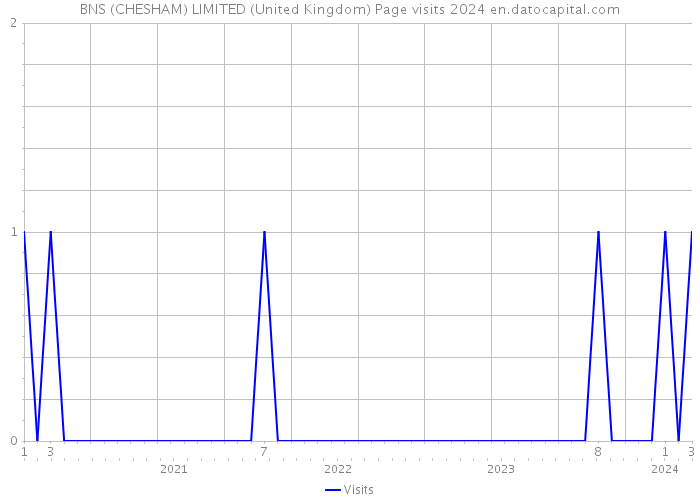 BNS (CHESHAM) LIMITED (United Kingdom) Page visits 2024 
