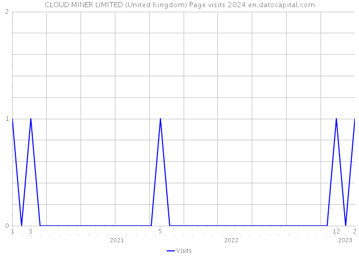 CLOUD MINER LIMITED (United Kingdom) Page visits 2024 