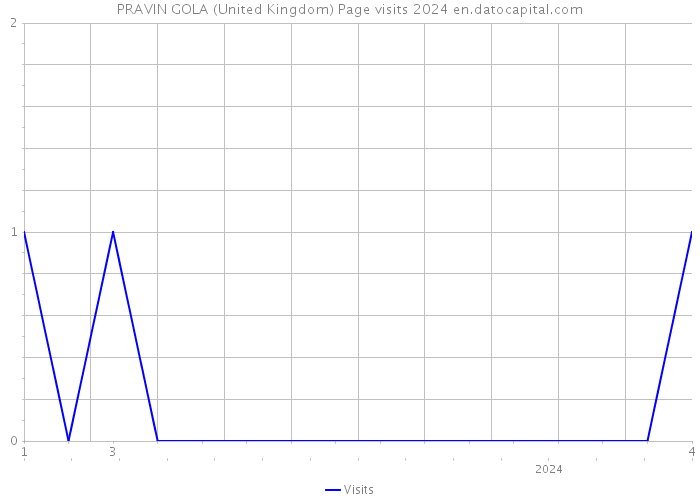 PRAVIN GOLA (United Kingdom) Page visits 2024 