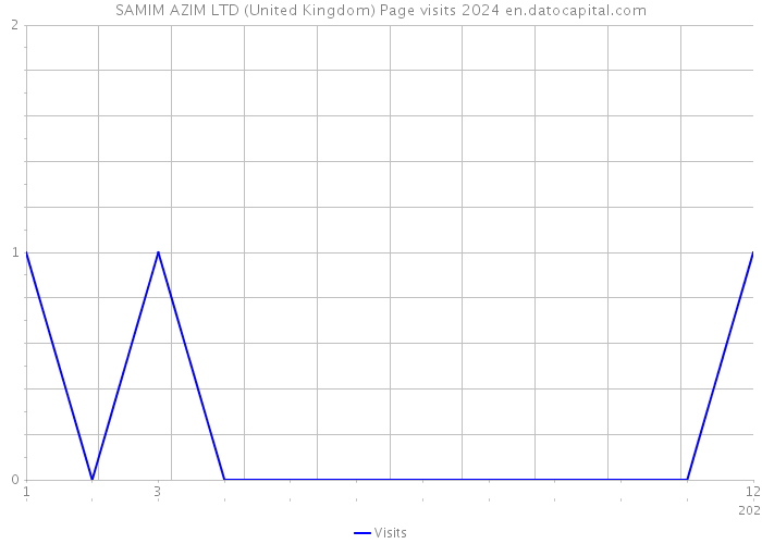 SAMIM AZIM LTD (United Kingdom) Page visits 2024 