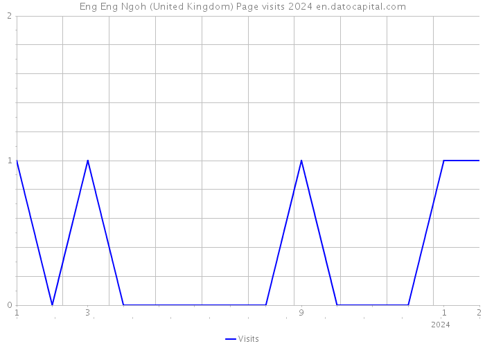 Eng Eng Ngoh (United Kingdom) Page visits 2024 