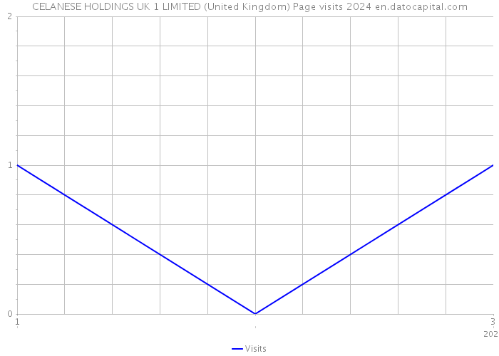 CELANESE HOLDINGS UK 1 LIMITED (United Kingdom) Page visits 2024 