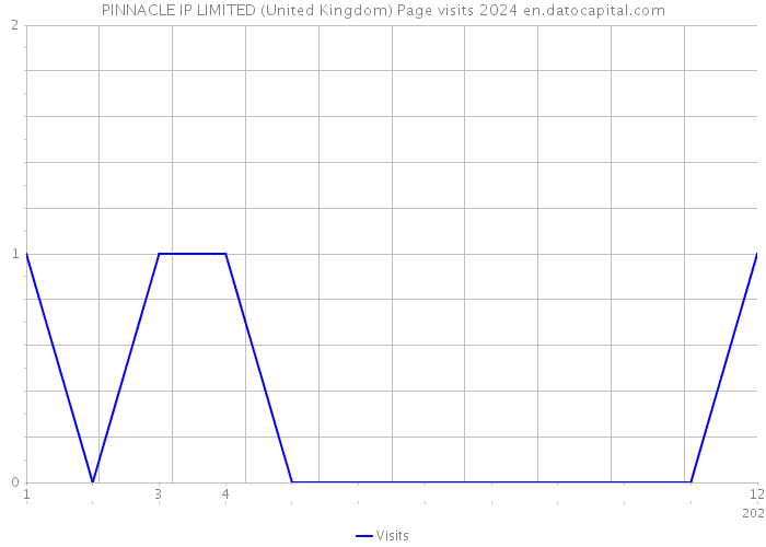PINNACLE IP LIMITED (United Kingdom) Page visits 2024 