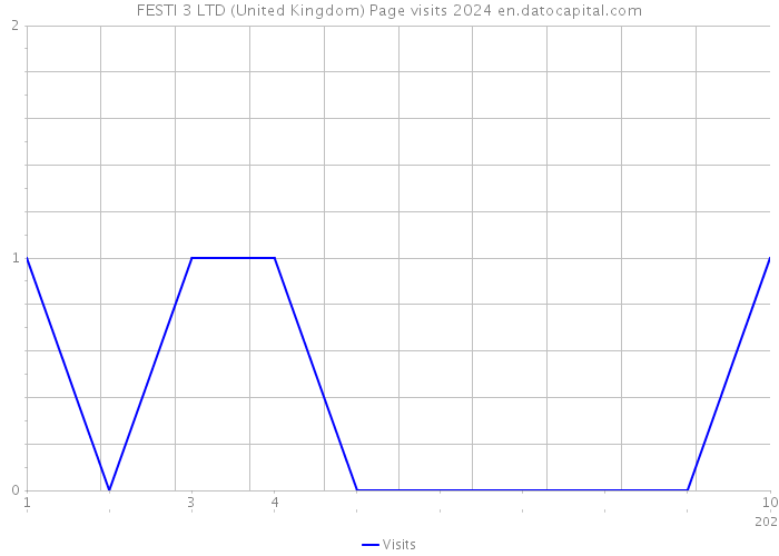 FESTI 3 LTD (United Kingdom) Page visits 2024 