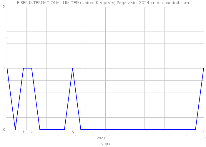 FIBER INTERNATIONAL LIMITED (United Kingdom) Page visits 2024 