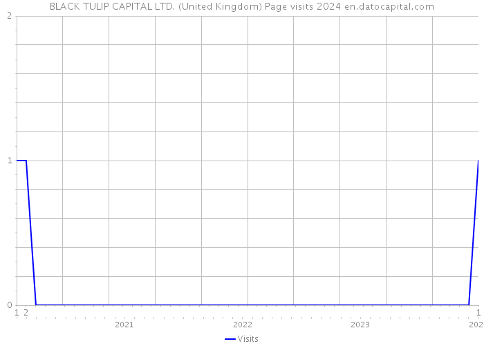 BLACK TULIP CAPITAL LTD. (United Kingdom) Page visits 2024 