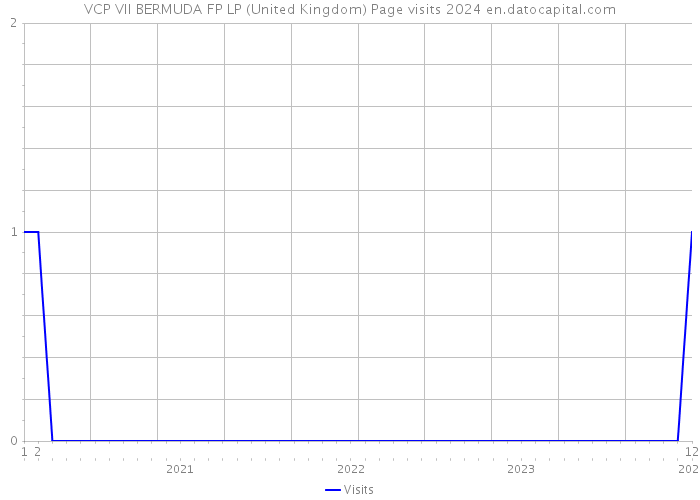 VCP VII BERMUDA FP LP (United Kingdom) Page visits 2024 