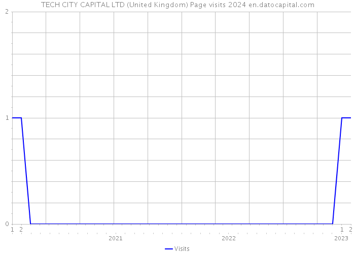 TECH CITY CAPITAL LTD (United Kingdom) Page visits 2024 