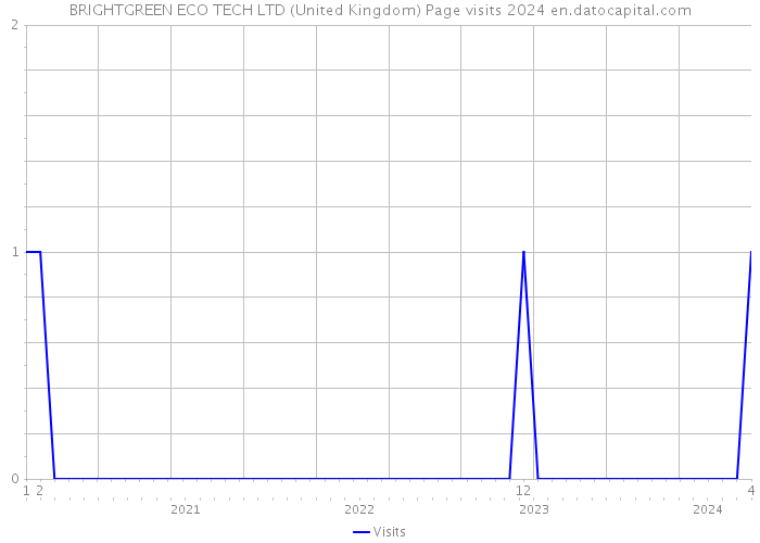 BRIGHTGREEN ECO TECH LTD (United Kingdom) Page visits 2024 