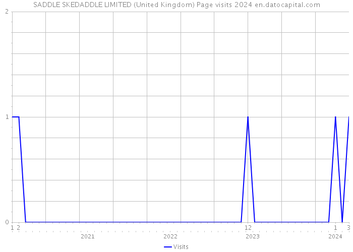 SADDLE SKEDADDLE LIMITED (United Kingdom) Page visits 2024 