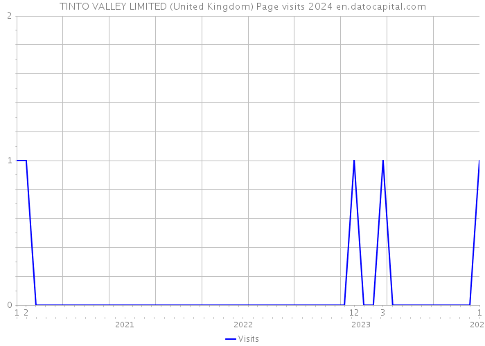 TINTO VALLEY LIMITED (United Kingdom) Page visits 2024 