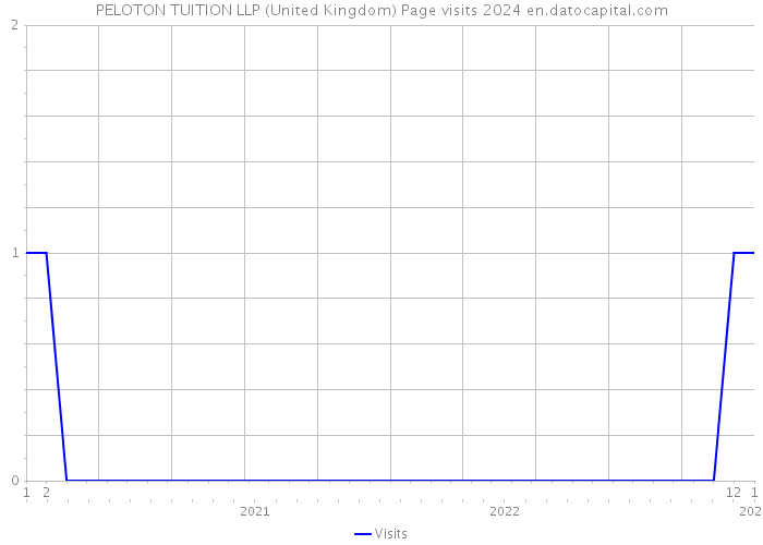PELOTON TUITION LLP (United Kingdom) Page visits 2024 