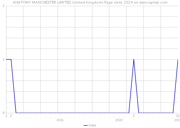 ANATOMY MANCHESTER LIMITED (United Kingdom) Page visits 2024 