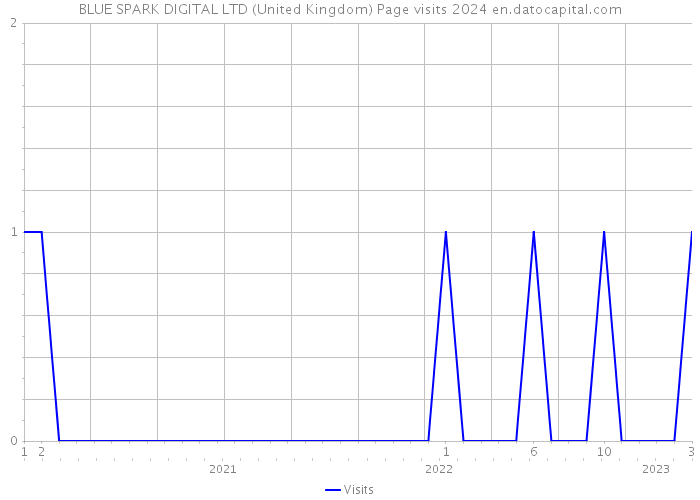 BLUE SPARK DIGITAL LTD (United Kingdom) Page visits 2024 