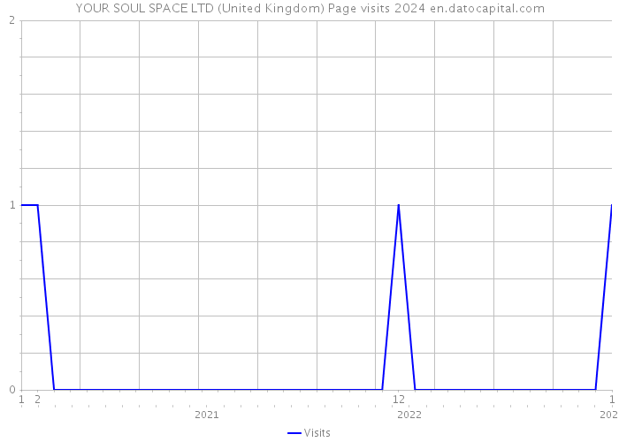 YOUR SOUL SPACE LTD (United Kingdom) Page visits 2024 