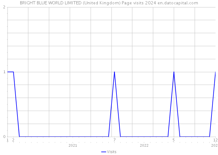 BRIGHT BLUE WORLD LIMITED (United Kingdom) Page visits 2024 
