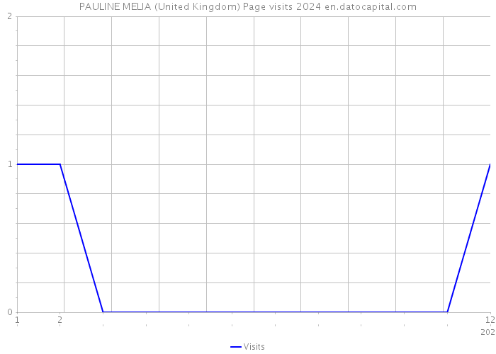 PAULINE MELIA (United Kingdom) Page visits 2024 