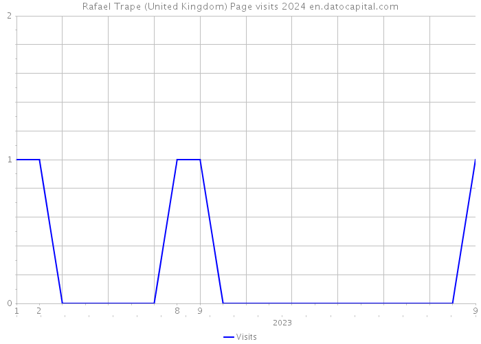 Rafael Trape (United Kingdom) Page visits 2024 
