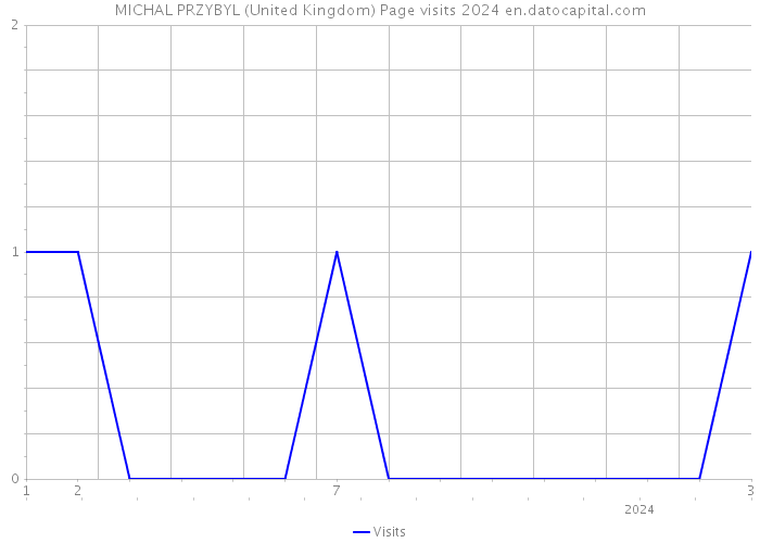MICHAL PRZYBYL (United Kingdom) Page visits 2024 