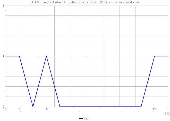 THAMI TAZI (United Kingdom) Page visits 2024 
