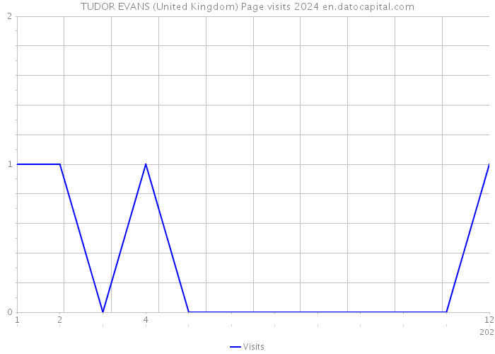 TUDOR EVANS (United Kingdom) Page visits 2024 