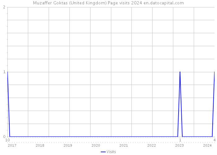 Muzaffer Goktas (United Kingdom) Page visits 2024 
