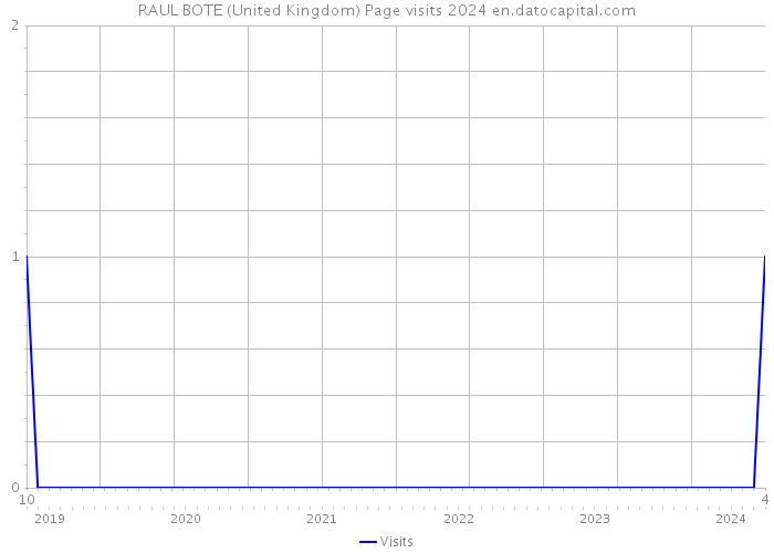 RAUL BOTE (United Kingdom) Page visits 2024 