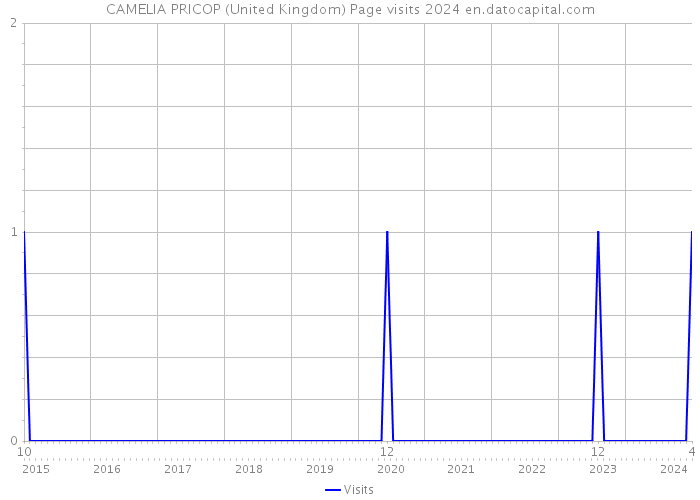 CAMELIA PRICOP (United Kingdom) Page visits 2024 