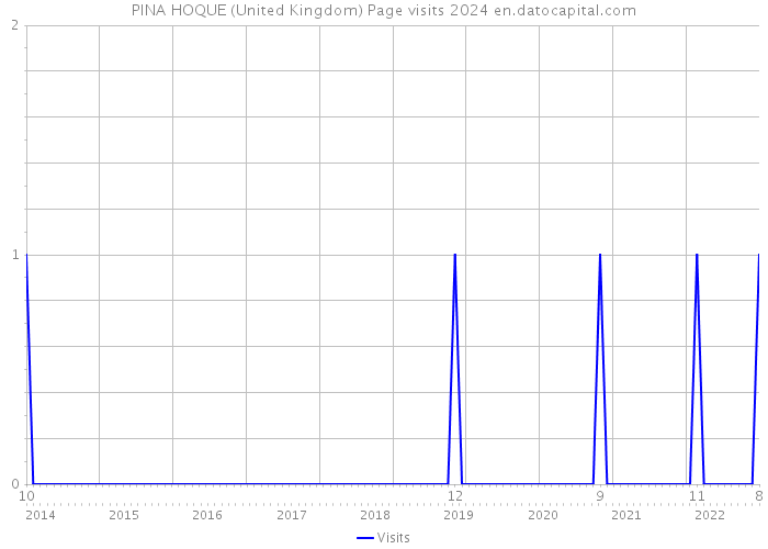 PINA HOQUE (United Kingdom) Page visits 2024 
