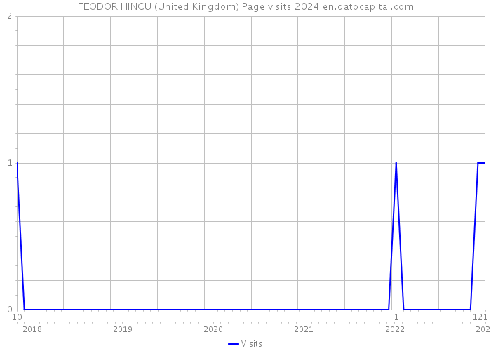 FEODOR HINCU (United Kingdom) Page visits 2024 