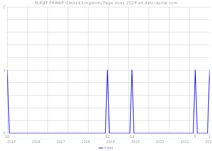 SURJIT PAWAR (United Kingdom) Page visits 2024 