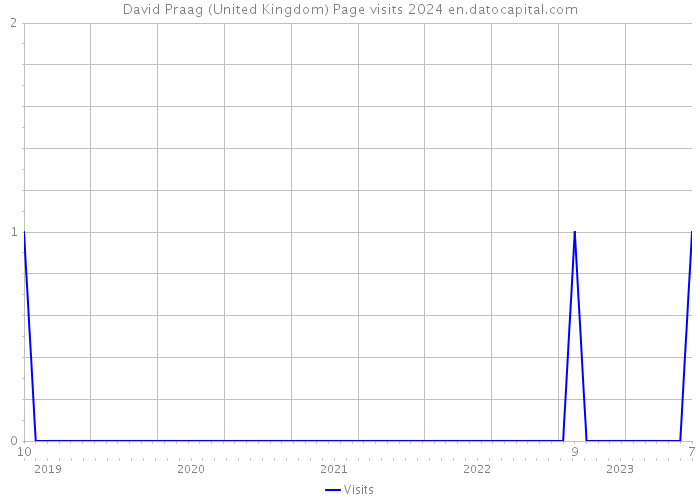 David Praag (United Kingdom) Page visits 2024 