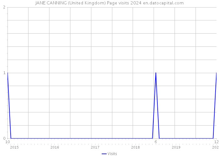 JANE CANNING (United Kingdom) Page visits 2024 