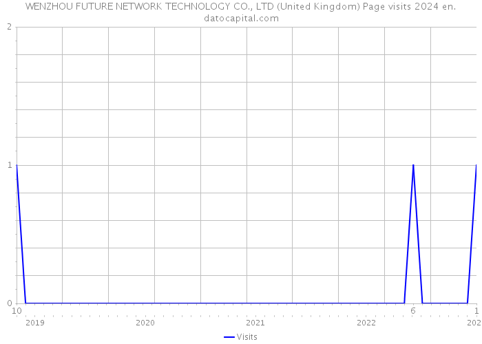 WENZHOU FUTURE NETWORK TECHNOLOGY CO., LTD (United Kingdom) Page visits 2024 
