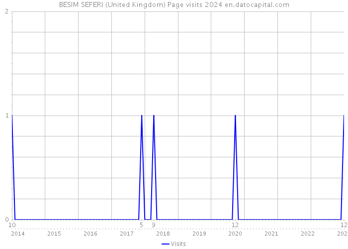 BESIM SEFERI (United Kingdom) Page visits 2024 