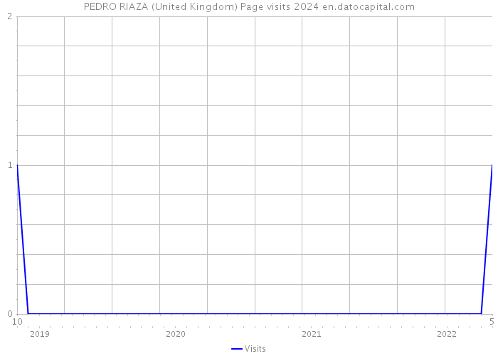 PEDRO RIAZA (United Kingdom) Page visits 2024 