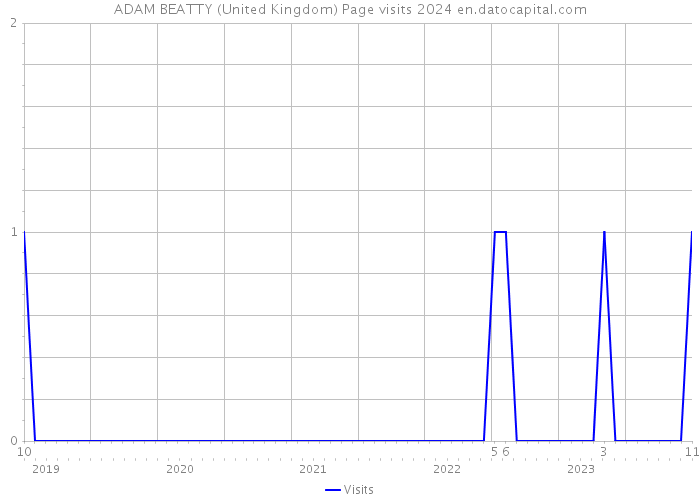 ADAM BEATTY (United Kingdom) Page visits 2024 